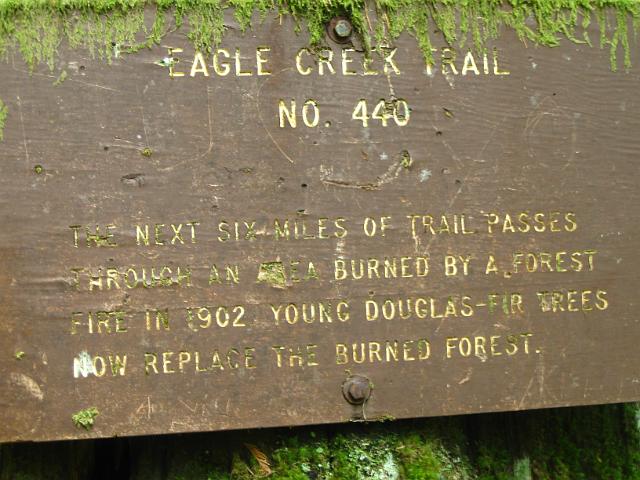 Eagle Creek-145.JPG - Eagle Creek